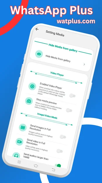 WhatsApp Plus media settings screenshot